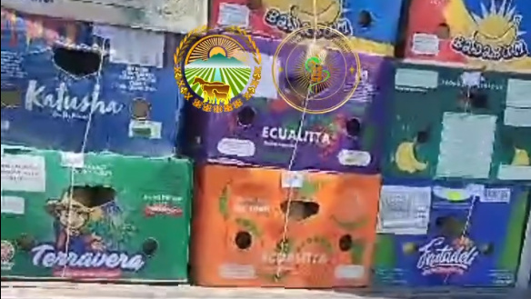В Кыргызстан не пустили дыни из соседней страны (видео)
