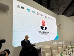 В Баку пройдет первая встреча министров энергетики стран D8 - Парвиз Шахбазов