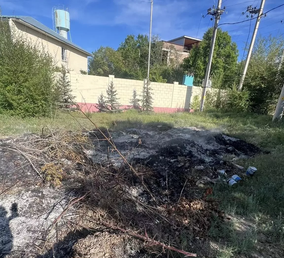 В Чолпон-Ате инспекторы Экотехнадзора  выявили факт незаконного сжигания бытовых отходов в неустановленном месте