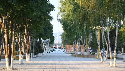 В Таласе ко Дню независимости строят впечатляющую аллею (видео и фото)