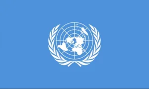 ООН приняла резолюцию Кыргызстана о мирном решении приграничных споров