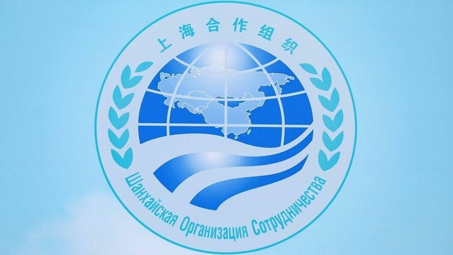 В Минпросвещения рассказали об образовательном сотрудничестве ШОС