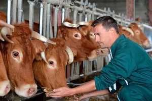 Новая госпрограмма положит конец запрета на экспорт продукции животного происхождения