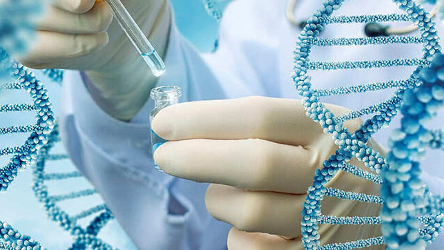 National Security Committee marks one year of successful operations for country's first DNA laboratory