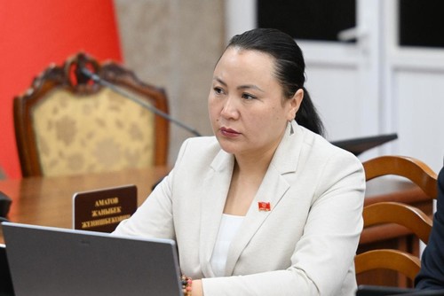 Депутат спросила, сколько средств потребуется на создание СФИТ «Тамчы», и из каких источников они будут выделены