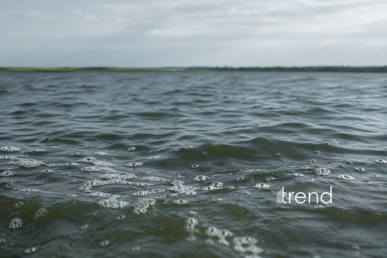 Найдено тело еще одного из братьев, утонувших в море в Бузовне