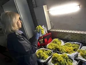 В Россию не пустили более 20 тонн узбекского винограда
