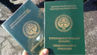 В Оше 382 школьника могли остаться без аттестатов. В институте акыйкатчы отреагировали