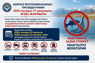 На Иссык-Куле и Сон-Куле введен временный мораторий на промысловый вылов рыбы