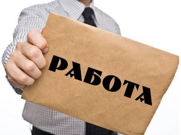 Какие специалисты востребованы на рынке труда (и средняя зарплата)