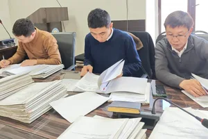 Срок завершения работ по земельной амнистии продлен до 15 декабря