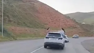 На дороге Ош-Алай водителя оштрафовали на 15 тыс. сомов за автохулиганство