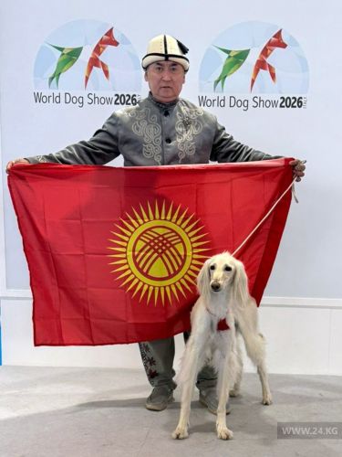 Kyrgyz Taigans triumph at World Championship in Italy, winning gold