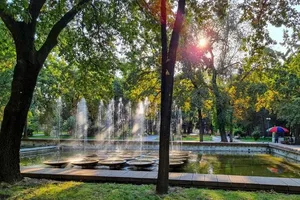 Bishkekzelenkhoz plans to improve Oak Park for 40 million soms
