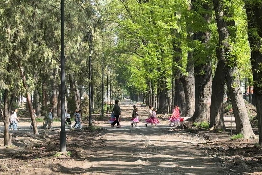 Реконструкция бульвара Молодой Гвардии продолжается. Что уже сделано
