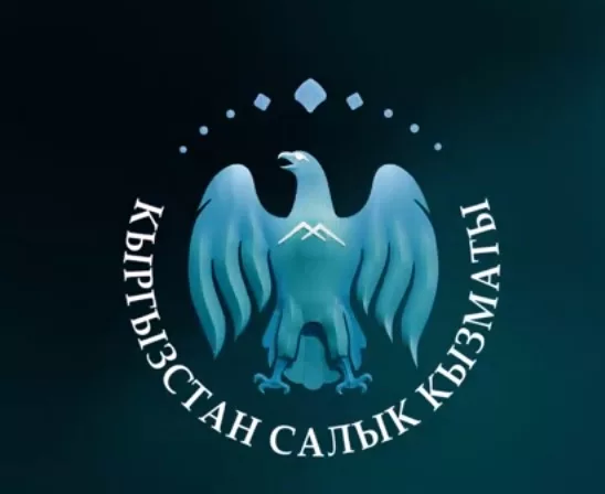 Налоговая служба Кыргызстана ответила на актуальные вопросы по страховым взносам