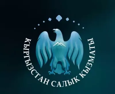 Налоговая служба Кыргызстана ответила на актуальные вопросы по страховым взносам