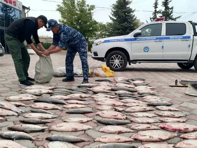 На озере Сон-Куль пресечена попытка незаконного вылова рыбы