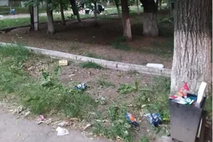 В парке "Пишпек" в Бишкеке жалуются на мусор и бездомных