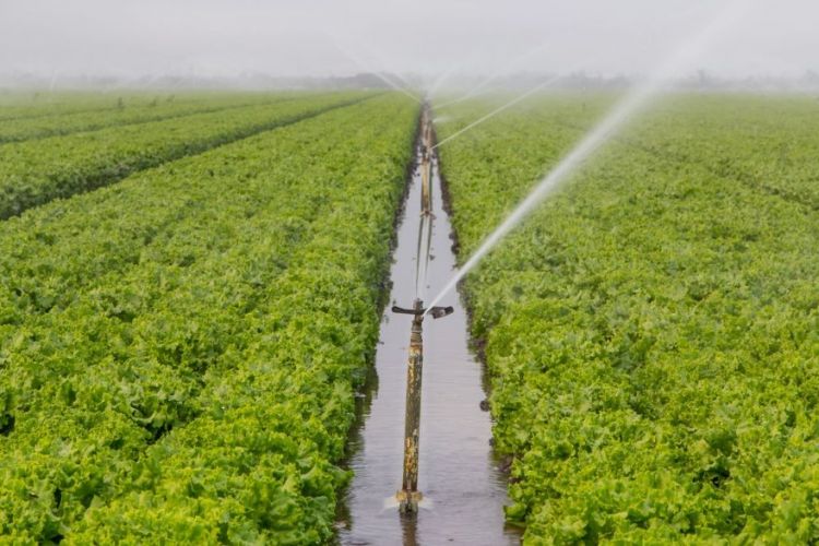 Donors to allocate $172 million to modernize irrigation in Kyrgyzstan