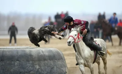 На этих Играх кочевников участники сыграют и в кок-бору, и в кокпар