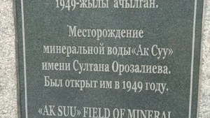 Территория близ месторождения минеральной воды «Ак-Суу» в Московском районе оказалась заброшенной