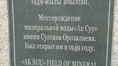 Территория близ месторождения минеральной воды «Ак-Суу» в Московском районе оказалась заброшенной