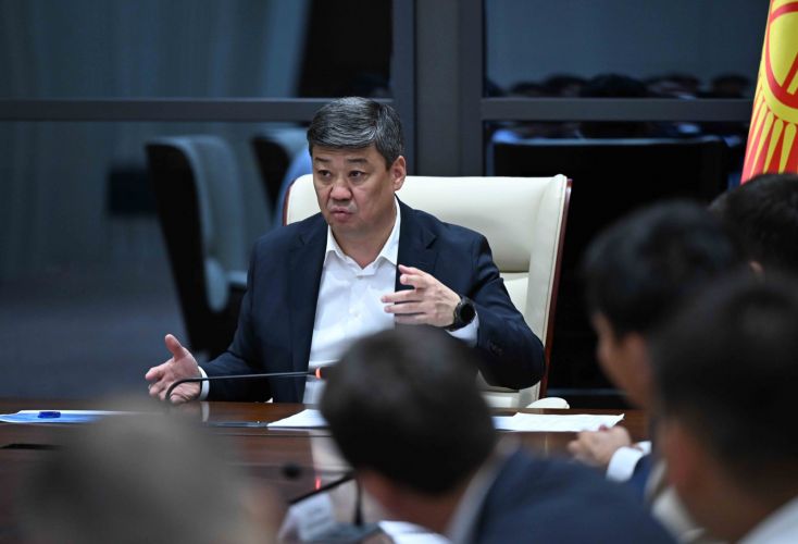 Work of industrial parks and zones discussed at Presidential Administration