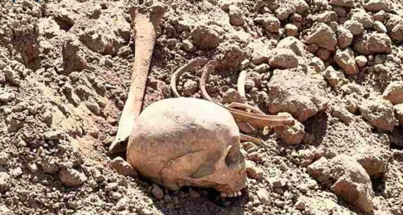 Human remains from 18th century discovered during trench digging in Naryn region