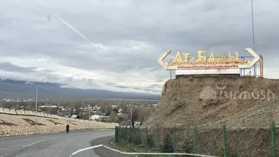 В Ат-Башинском районе за полгода число родов снизилось на 47 случаев