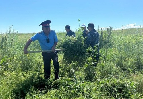 В Ак-Суйском районе Иссык-Кульской области прошла спецоперация «Кара-Курай»