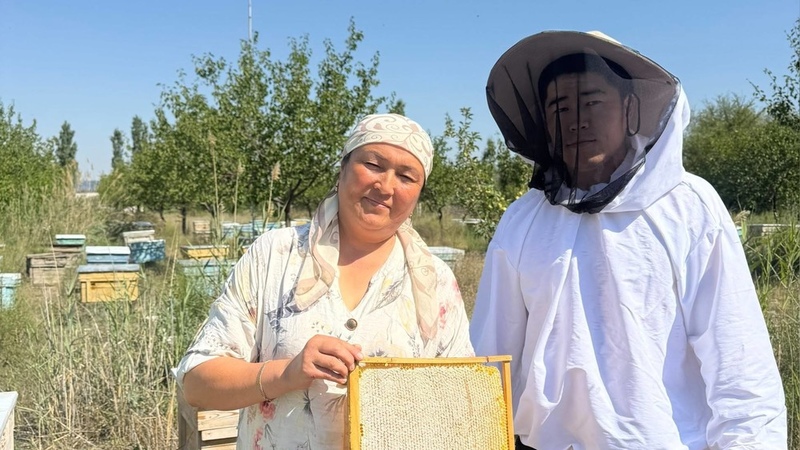 Batken beekeeper grows family farm to 250 hives over 25 years