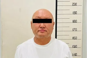 Дело в отношении иностранных инвесторов. Суд отпустил обвиняемого под домашний арест