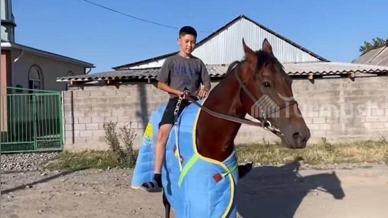 Жизнь в регионах: Юный наездник из Сосновки Алихан Аскарбеков на призовые 250 тысяч сомов купил кирпичи