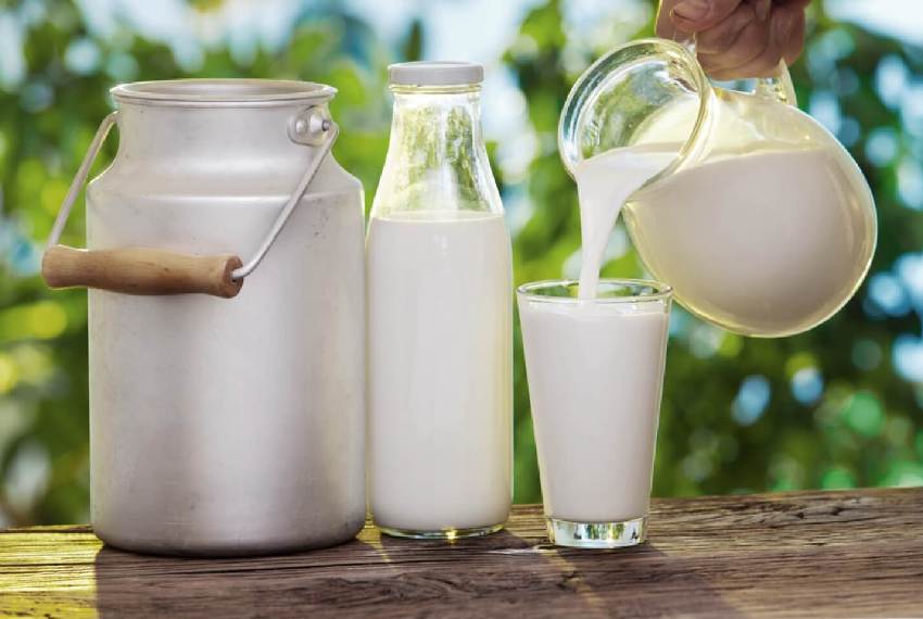 Казахстан закупил молочных продуктов у Кыргызстана на 13,6 миллиона долларов