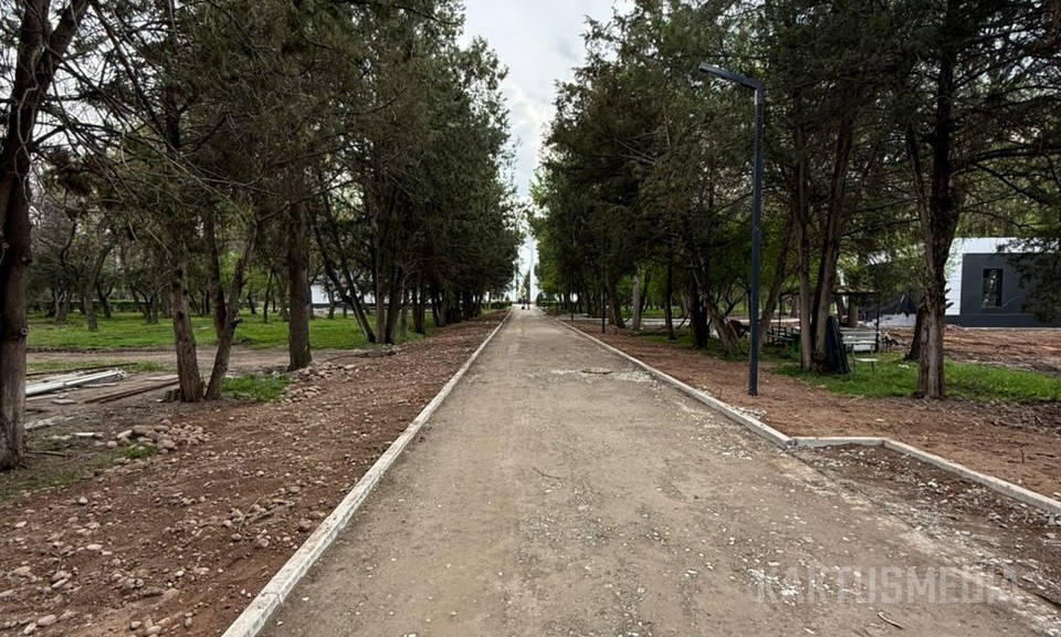 Помните, что в парке Ататюрка обещали сохранить деревья? Смотрим, как это (не) выполнили