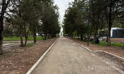 Помните, что в парке Ататюрка обещали сохранить деревья? Смотрим, как это (не) выполнили