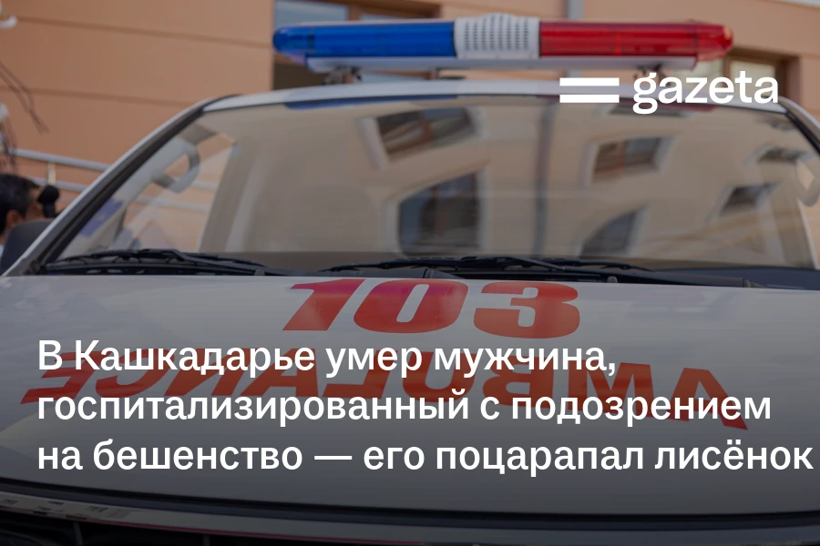 В Кашкадарье умер мужчина, госпитализированный с подозрением на бешенство, его поцарапал лисёнок