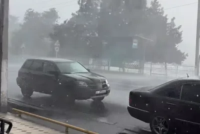 В Манасе из-за сильного ливня и ветра повреждены крыши домов и повалены деревья