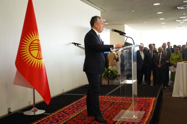 Kyrgyzstan aims to contribute to maintenance of international peace
