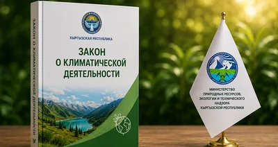 Кыргызстан первым в Центральной Азии принял закон о климатической деятельности