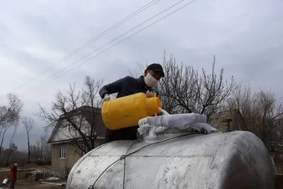 «Если бы не экспорт, цена была бы еще ниже»: В Минсельхозе объяснили ситуацию на рынке молока