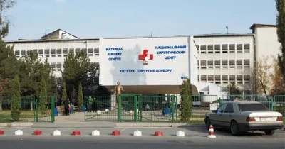 Большой переезд или жизнь. Глава Минздрава напомнил о переносе ключевых больниц Бишкека за город