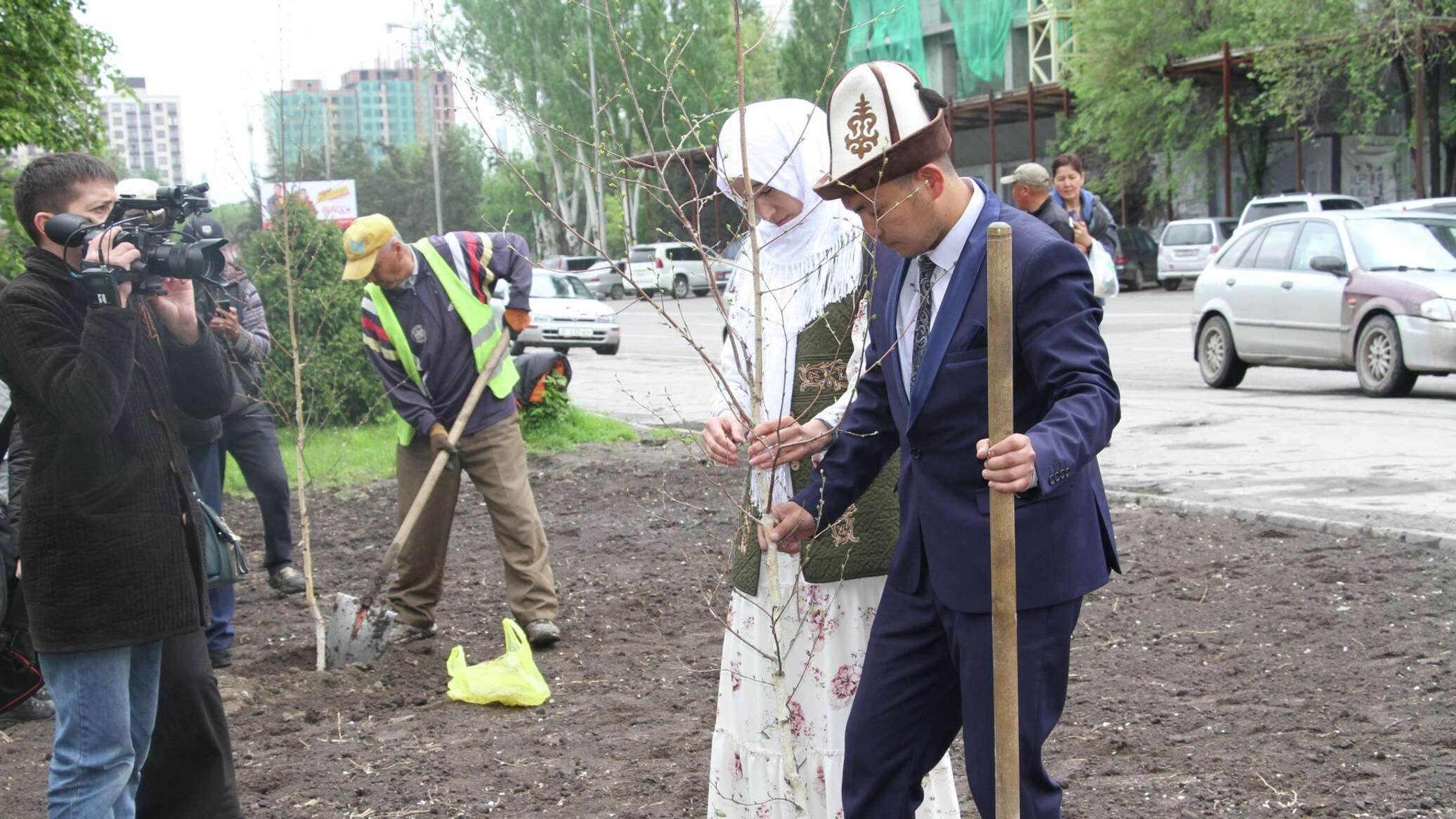 Мэрия Бишкека предлагает молодоженам сажать деревья, услуга платная. Видео