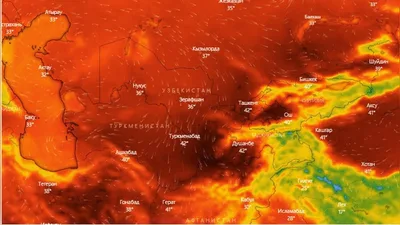 Жара становится новой нормой. Ученые бьют тревогу из-за климата в Азии