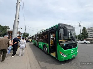 Водителям грозит штраф 5 тысяч 500 сомов за непропуск общественного транспорта