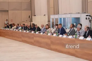 Гендиректор ICMP заявил, что прогресс между Азербайджаном и Арменией вселяет надежду