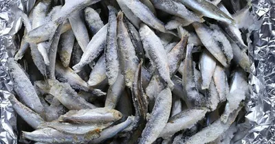 Кыргызстан сократил импорт мороженой рыбы на 45% в январе-апреле
