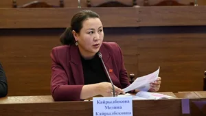 Зачем покупать электробусы, если есть троллейбусы? Депутат раскритиковала позицию мэрии