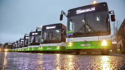 Ночные автобусы запускают в Бишкеке — сколько будет стоить проезд